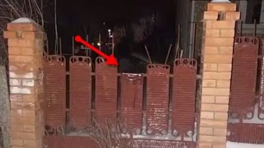 Man caught red-handed trying to break into house (VIDEO)