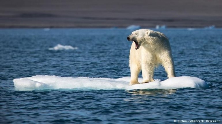 Sea ice at record low in Arctic and Antarctic