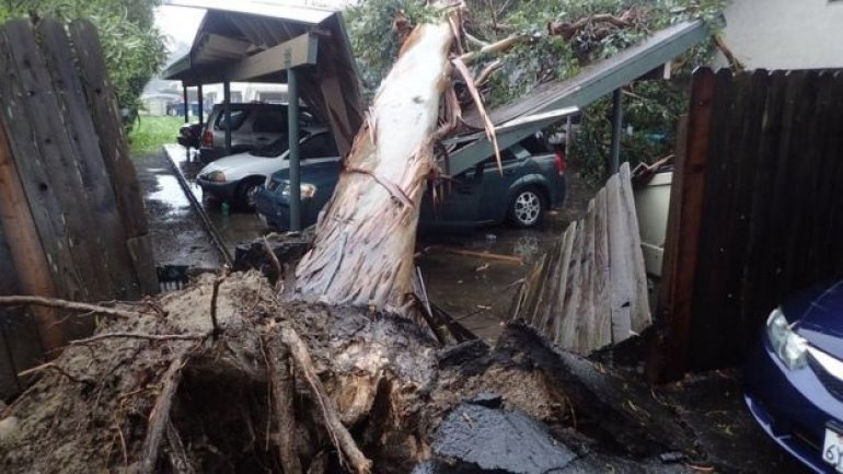 California "bombogenesis", biggest storm in years, kills two (PHOTO/VIDEO)