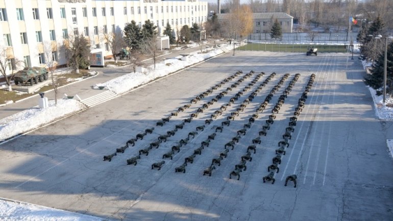 Strength and Solidarity. Moldovan National Army joins "22 Pushup Challenge" (PHOTO)