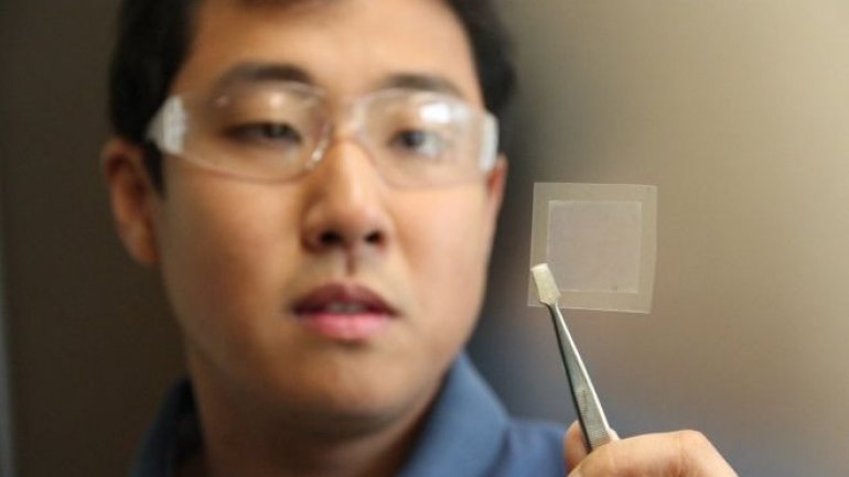 Australian scientists create graphene using soybean oil