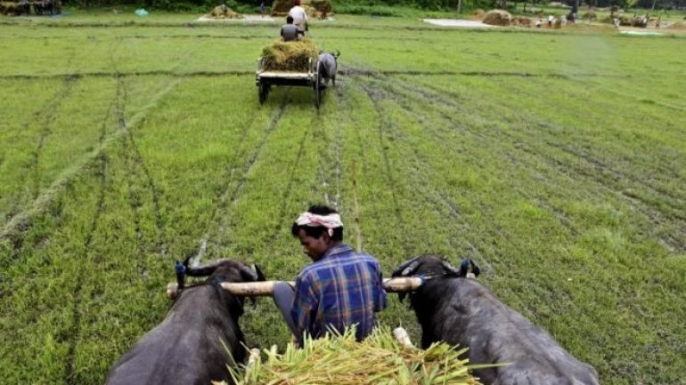 India Budget 2017: Promise to boost rural spending