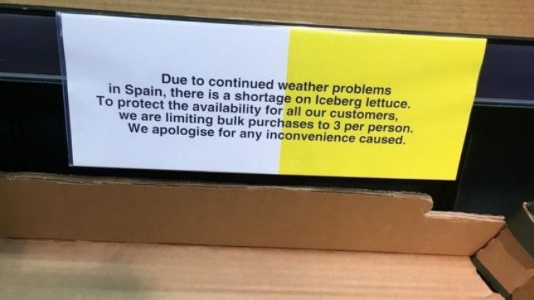 Iceberg lettuces and broccoli rationed as vegetable crisis hits supermarkets