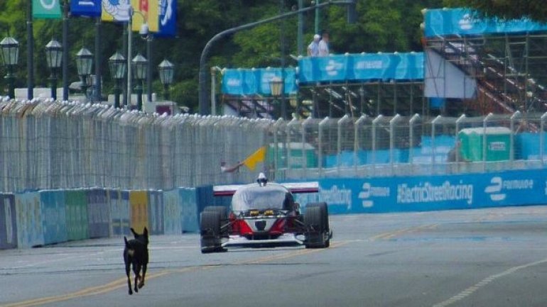 Driverless Roborace car crashes at speed in Buenos Aires