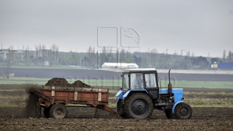 Moldova will get grant to develop conservation agriculture