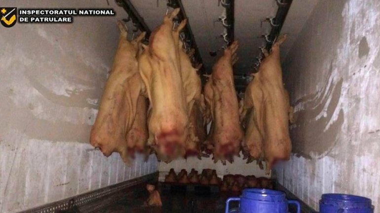 3.1 tons of pork intended for commercialization seized by patrolling inspectors