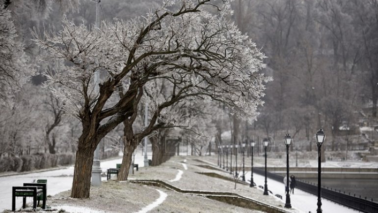 WEATHER FORECAST in Moldova for February 16, 2017