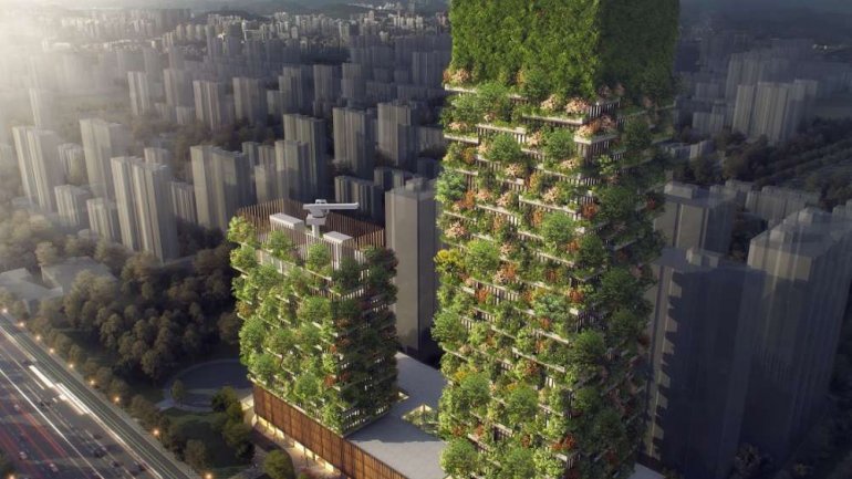 China to get vertical gardens in 2018 to help tackle pollution(PHOTO)