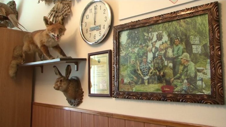 The wealth of a Straseni town hunter: wild ducks, owls and wild boars