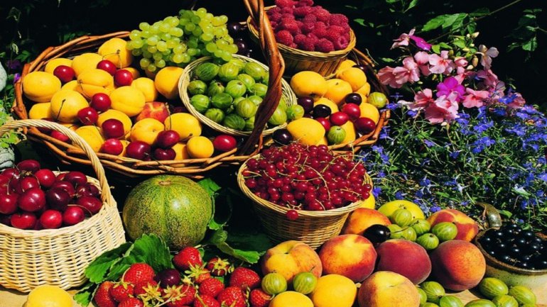 Moldovan farmers exhibit their products at LARGEST fruit fair in Europe