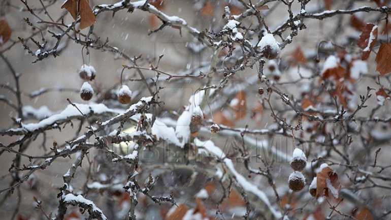 WEATHER FORECAST FOR FOLLOWING DAYS: Overcast sky and rain with sleet