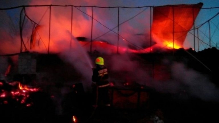 Cows, pigs die in big fire near Chisinau