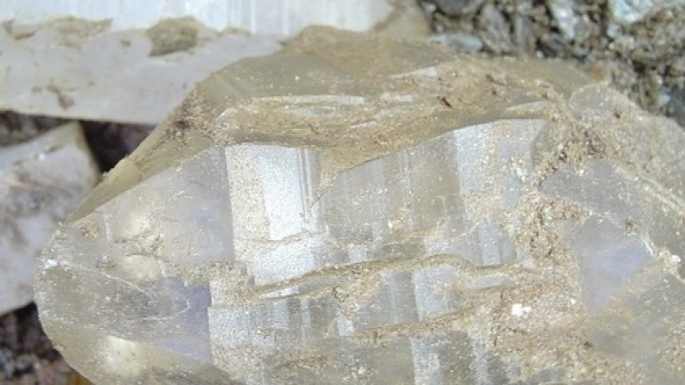 Microbes survive 50,000 years in crystals