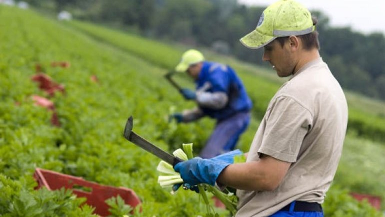 Brexit aftermath: Too few workers to fill vacancies in Britain