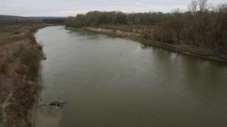 Romanian plant leaks polluters into Prut river