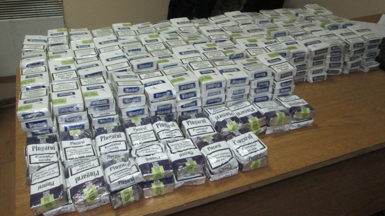 Cigarette smuggling STOPPED with help of sniffer dogs (PHOTO)