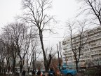 Logging continues in Chisinau (PHOTOREPORT)