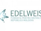 Vlad Plahotniuc’s Edelweiss foundation launches grant competition for modernization of Moldovan villages