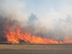 Firefighters in ALERT! Tens of hectares of vegetation burned across the country