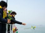 South Korea Sewol ferry disaster: Human remains found