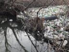 Volunteers clean up Chisinau’s river