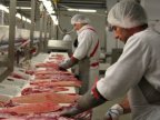 Meat processing plant to open in Balti