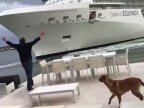 Panicking homeowner waves his arms as GIANT CRUISE liner steams TOWARDS his home (VIDEO)