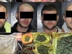 Police annihilate drug dealing gang