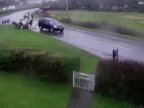 HORSE CRASH HORROR. Heartstopping moment a car ploughs into horses (VIDEO)