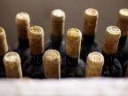 Good news for Moldovan winemakers. Five companies to resume export on Russian market