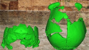 Ancient skulls give clues to China human history