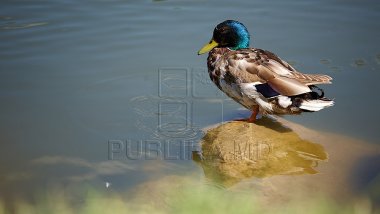 WEATHER FORECAST in Moldova for March 22, 2017