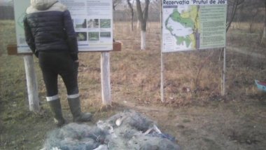 Poacher, caught fishing in natural reservation