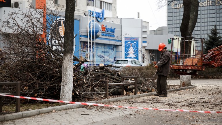 Logging continues in Chisinau (PHOTOREPORT)