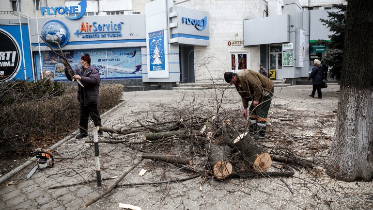 Logging continues in Chisinau (PHOTOREPORT)