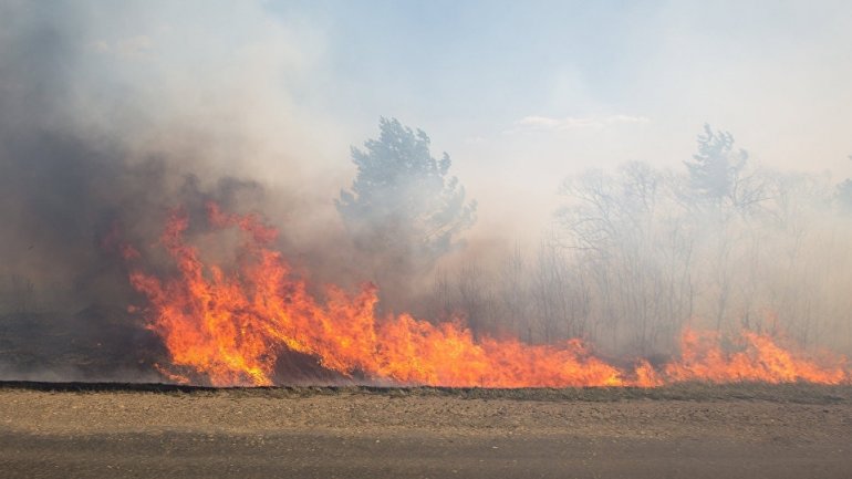 Firefighters in ALERT! Tens of hectares of vegetation burned across the country