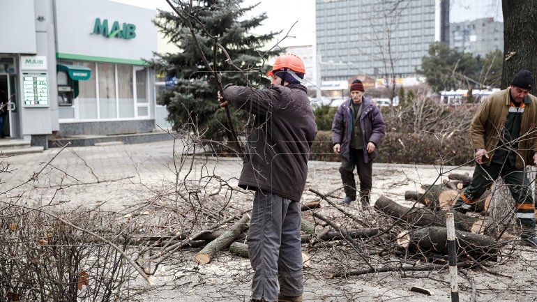 Logging continues in Chisinau (PHOTOREPORT)