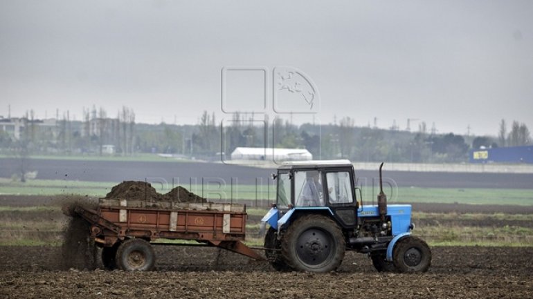 Farmers begin work in fields, vineyards and orchards