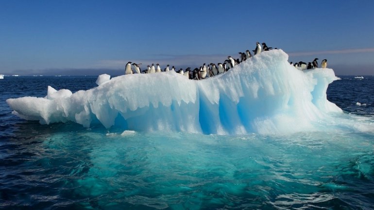 Global warming: Antarctica temperature hits record high