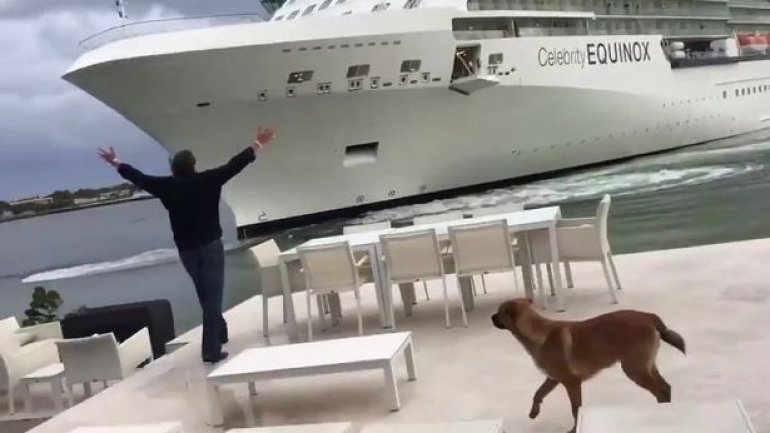 Panicking homeowner waves his arms as GIANT CRUISE liner steams TOWARDS his home (VIDEO)