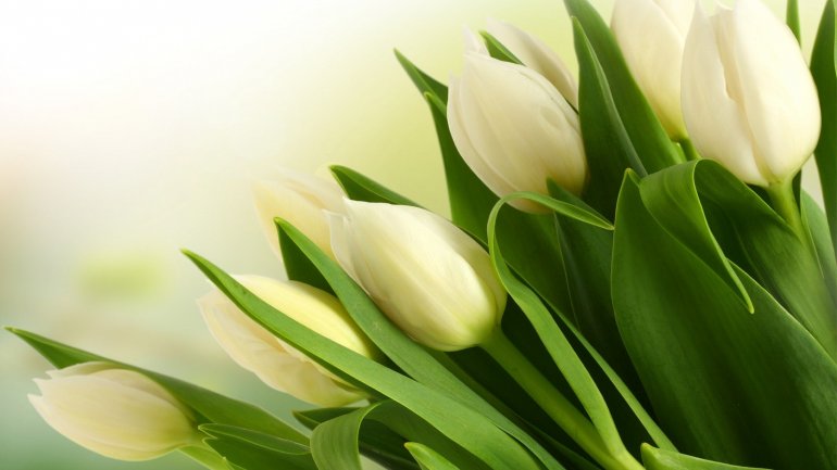 Valentine's Day caused lines to form in markets. Men rush to purchase flowers for their beloved ones