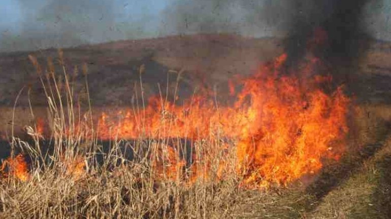 Tens of hectares of Moldovan land with vegetation ablaze