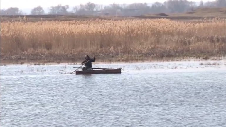 On brink of ecological disaster! Tens of hectares of pasture FLOODED in Marculesti village