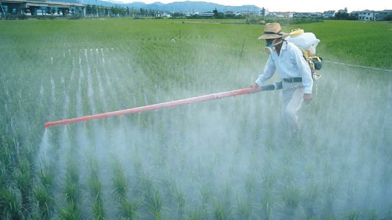 STUDY: Pesticides are catastrophic. No need to use them to produce food