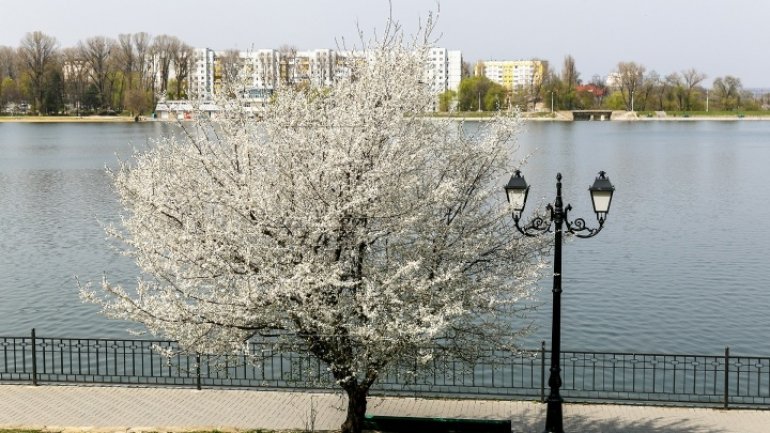 WEATHER FORECAST for coming days in Moldova