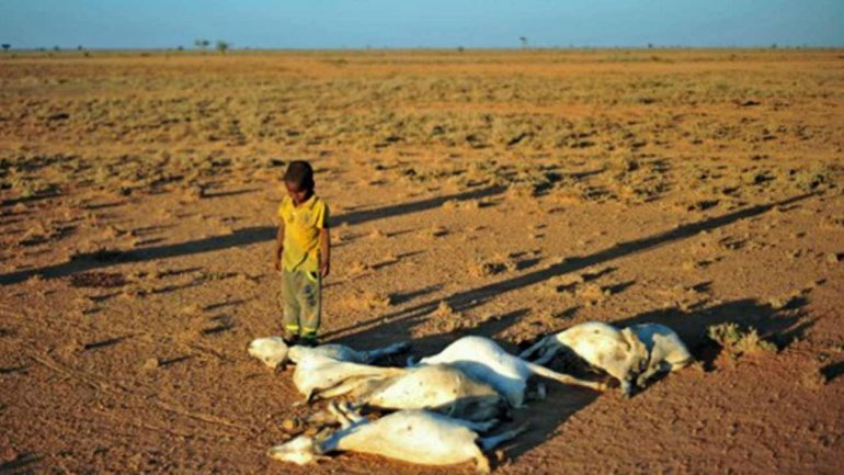 Somalia drought: At least 110 die as fears of famine grow