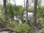 Situation in Chisinau, following blizzard: 10,000 fallen trees and 124 pillars knocked down