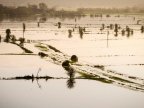 Flood defence plans heavily favour London and south-east