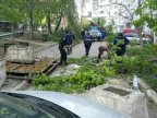 Moldovans tidy up broken branches, following Prime Minister’s call (PHOTO)