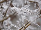 Weather: Yellow warning of frost